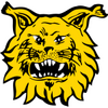 FC Ilves